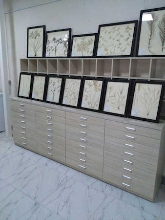 Herbarium